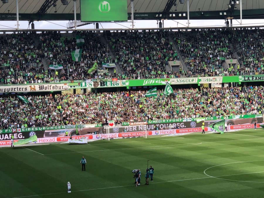 photo5256022707756181874